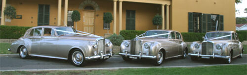 matching champagne classic wedding cars sydney for hire