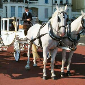 vintage wedding horse and carriage